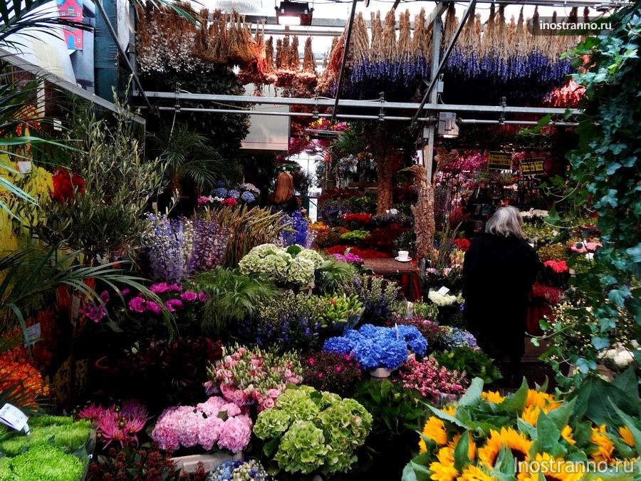 цветы на рынке в Амстердаме