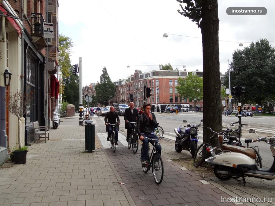Голландские велосипедисты