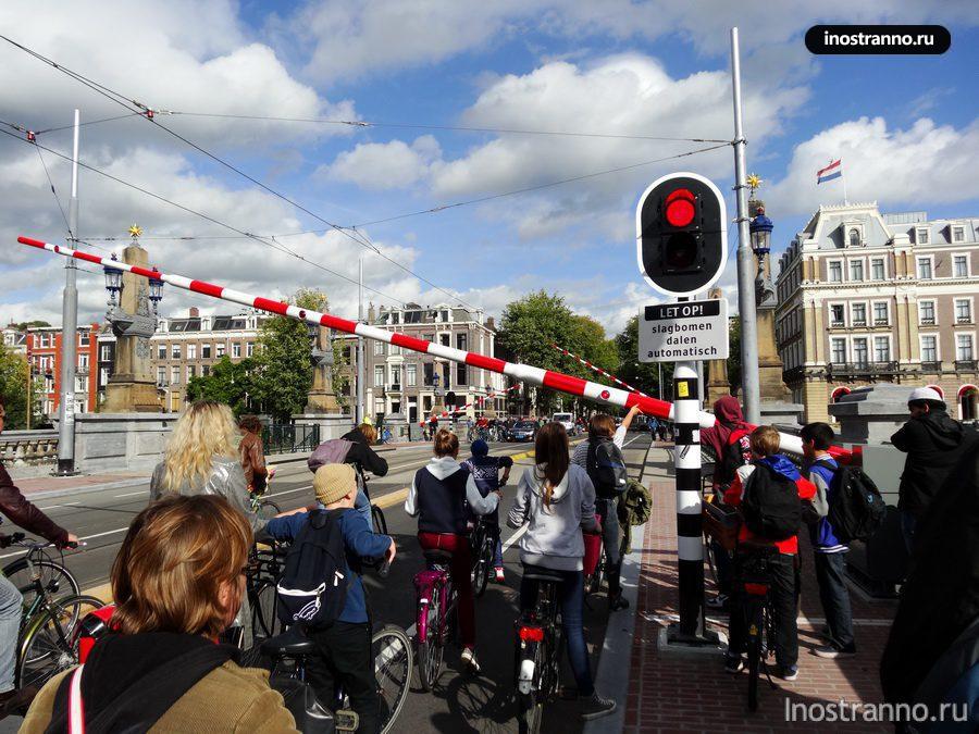 Толпа велосипедистов в Амстердаме