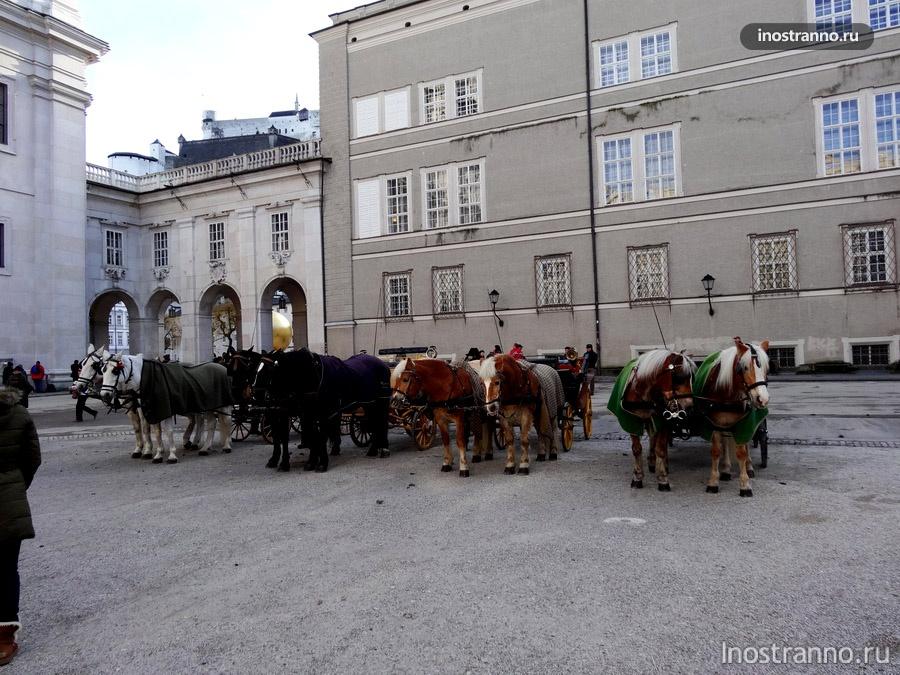 катание на лошадях в Зальцбурге