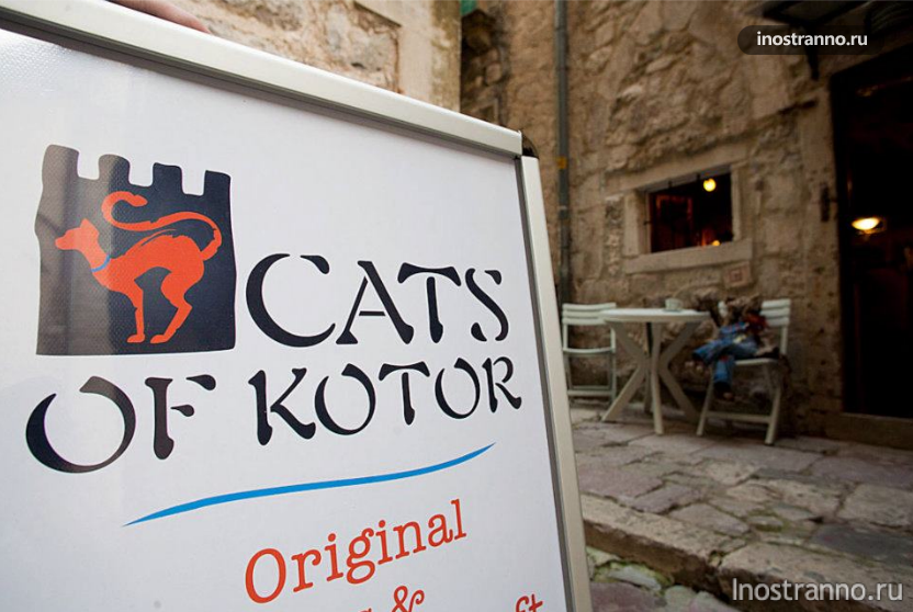 Магазин сувениров котов в Которе