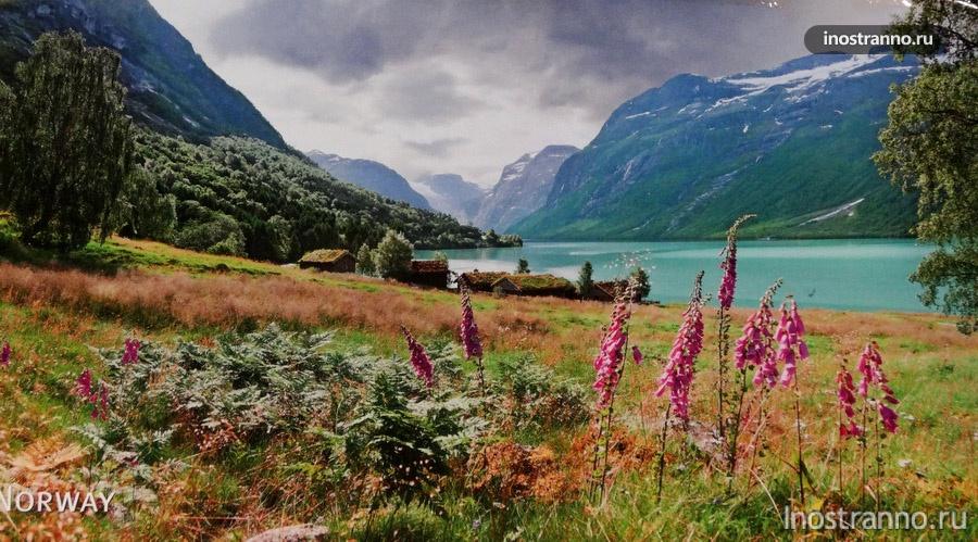 пейзаж норвегии