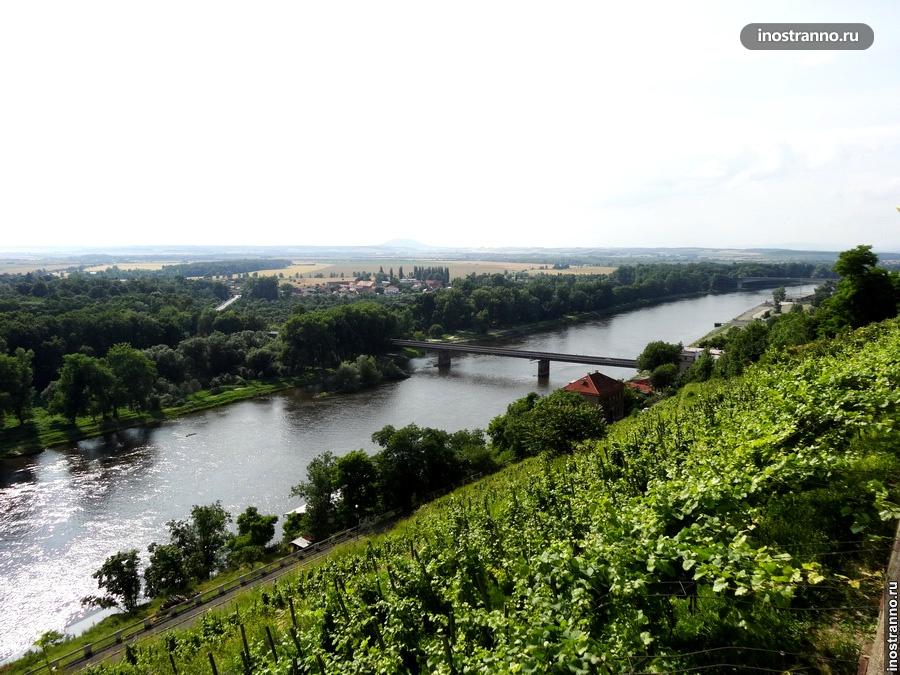 Вино и виноградники в Мельнике Чехия