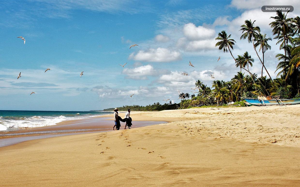 Шри Ланка когда лучше отдыхать