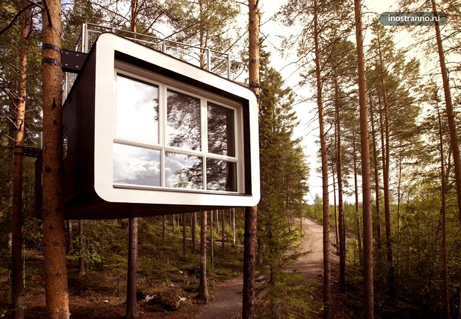 Необычный эко отель в деревьях в Швеции