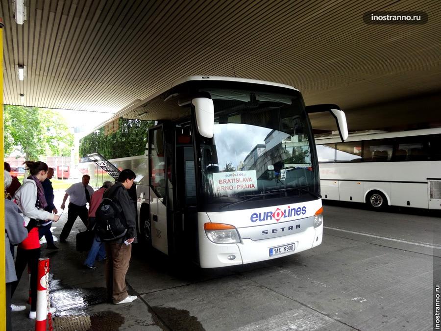 Автобус Eurolines