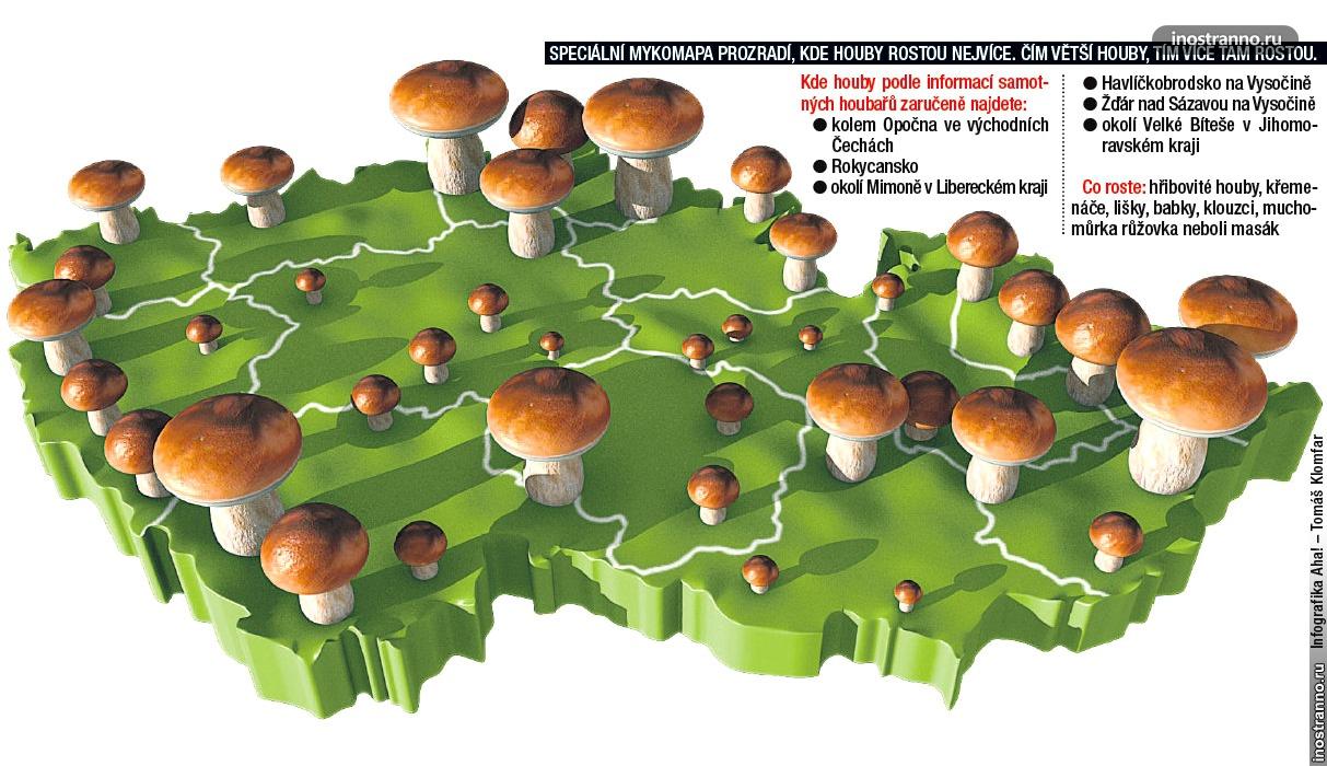 Карта грибные места в Чехии