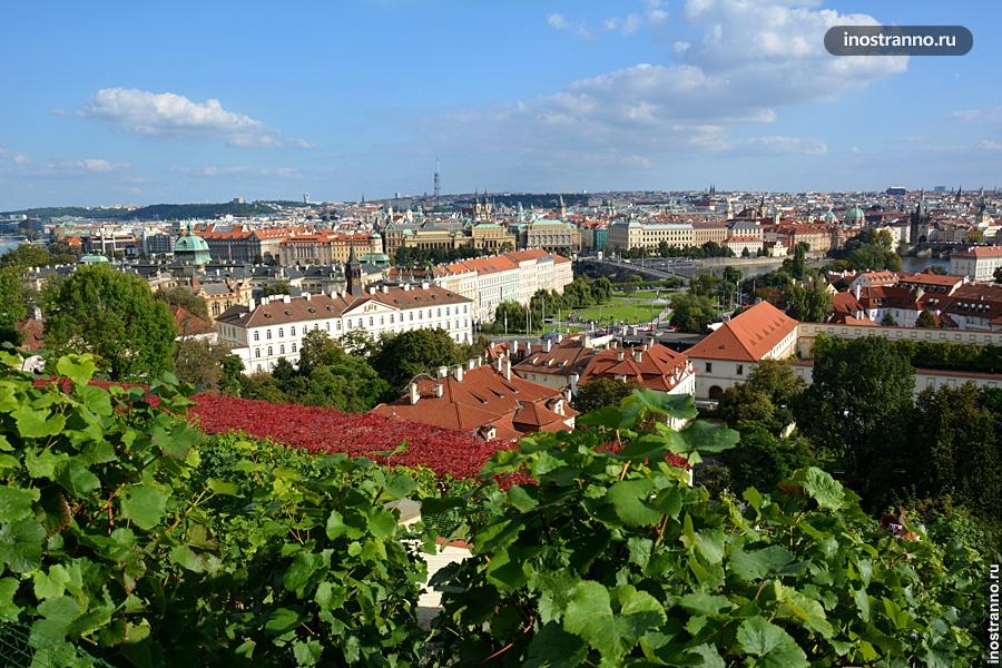 Обзорная площадка в Праге из Пражского града