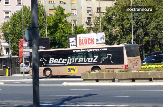 Автобус в Черногории, Подгорица, Тиват, аэропорт