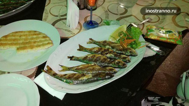 Рыба чернокоп в Болгарии
