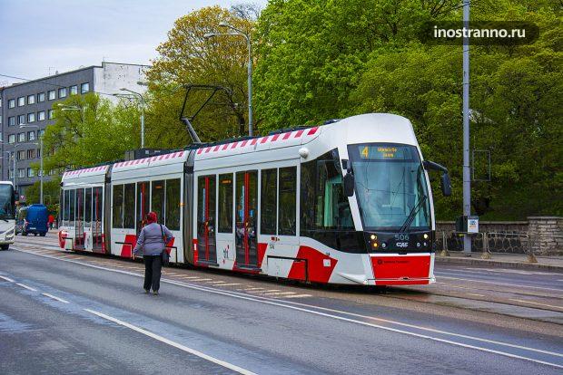 Трамвай в Эстонии