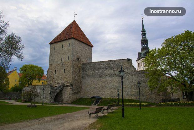Стены Старого города Таллина