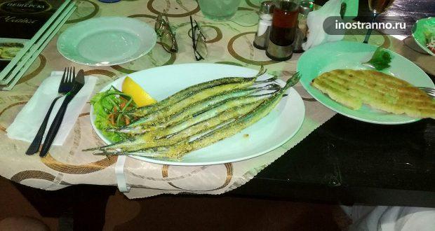 Какую черноморскую рыбу стоит попробовать в Болгарии?