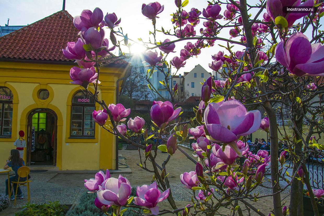 Франтишканский сад в Праге