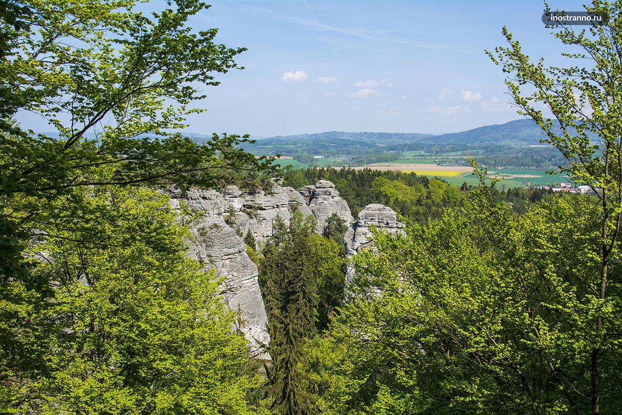 Скалы в национальном парке Чешский рай