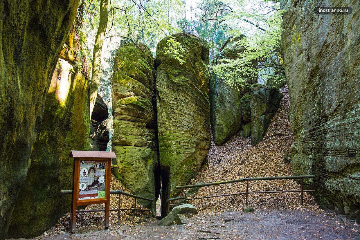 Скалы в национальном парке Чехии