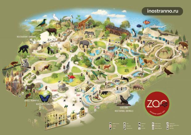 Зоопарк Антверпена карта
