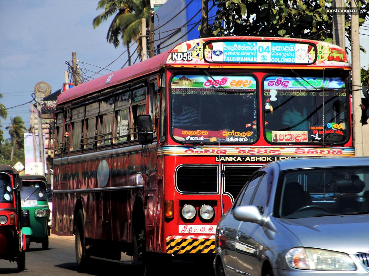 Автобус на Шри-Ланке как добраться из аэропорта Бандаранайке