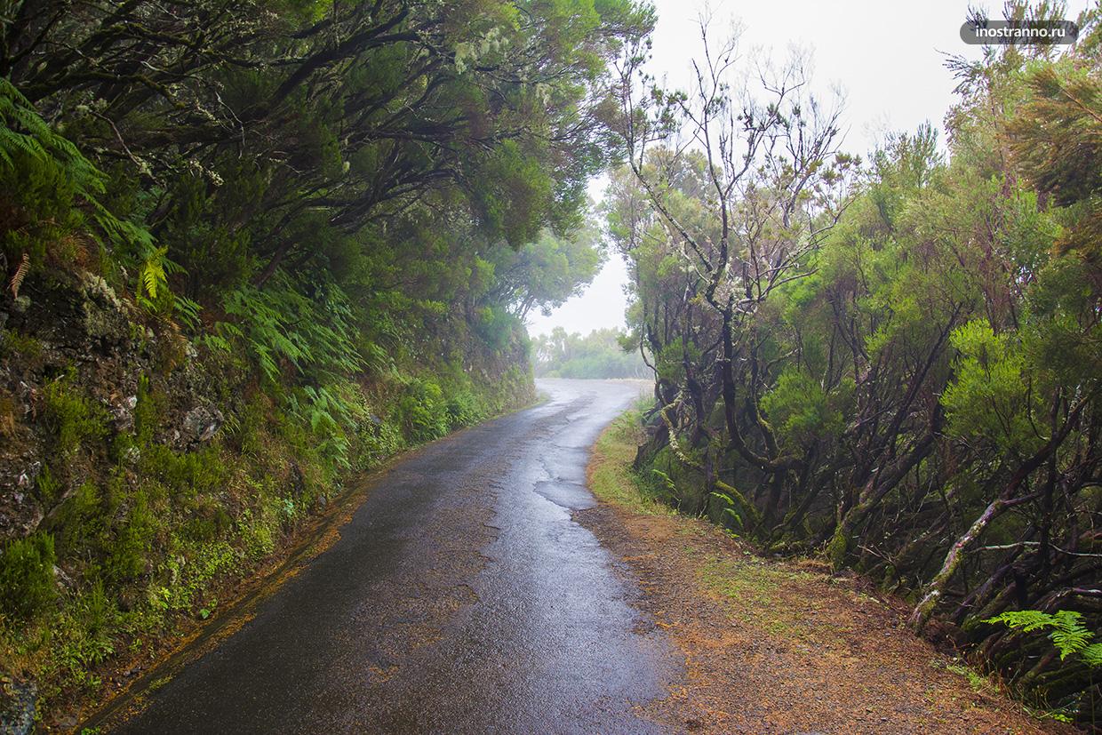 Природа острова Мадейра