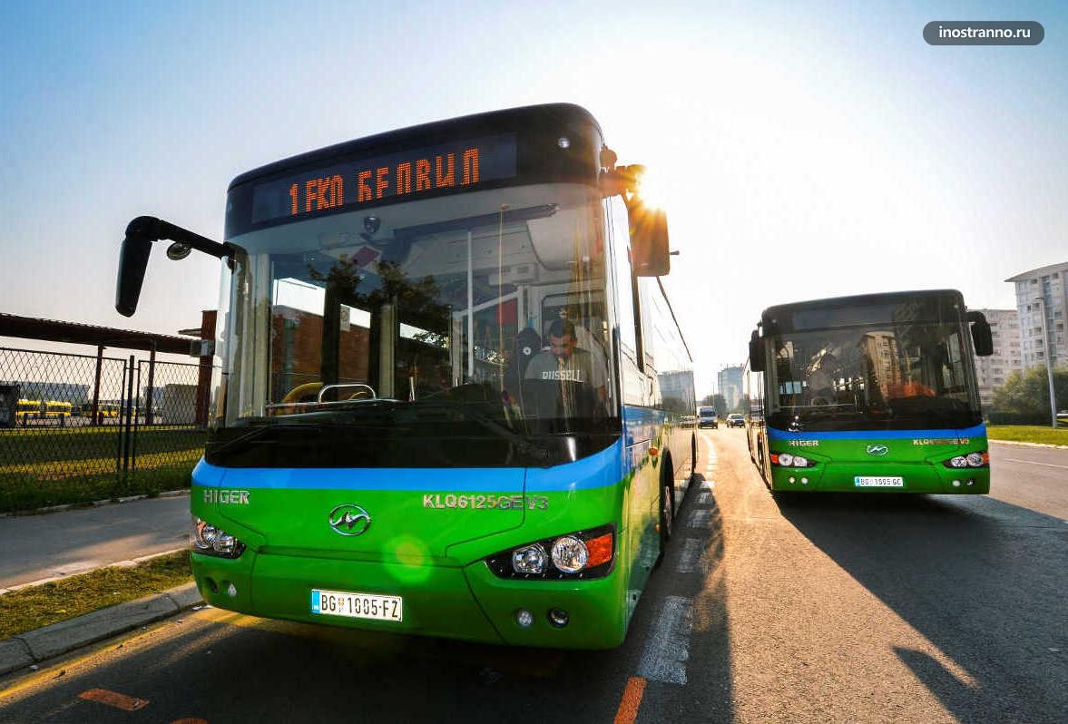 Автобусы Белграда