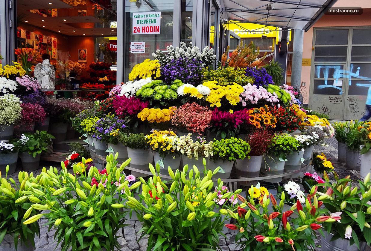 Где в Праге купить цветы