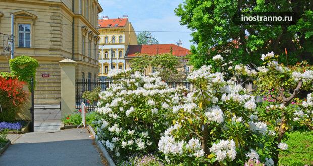Цветущий Ботанический сад в Праге