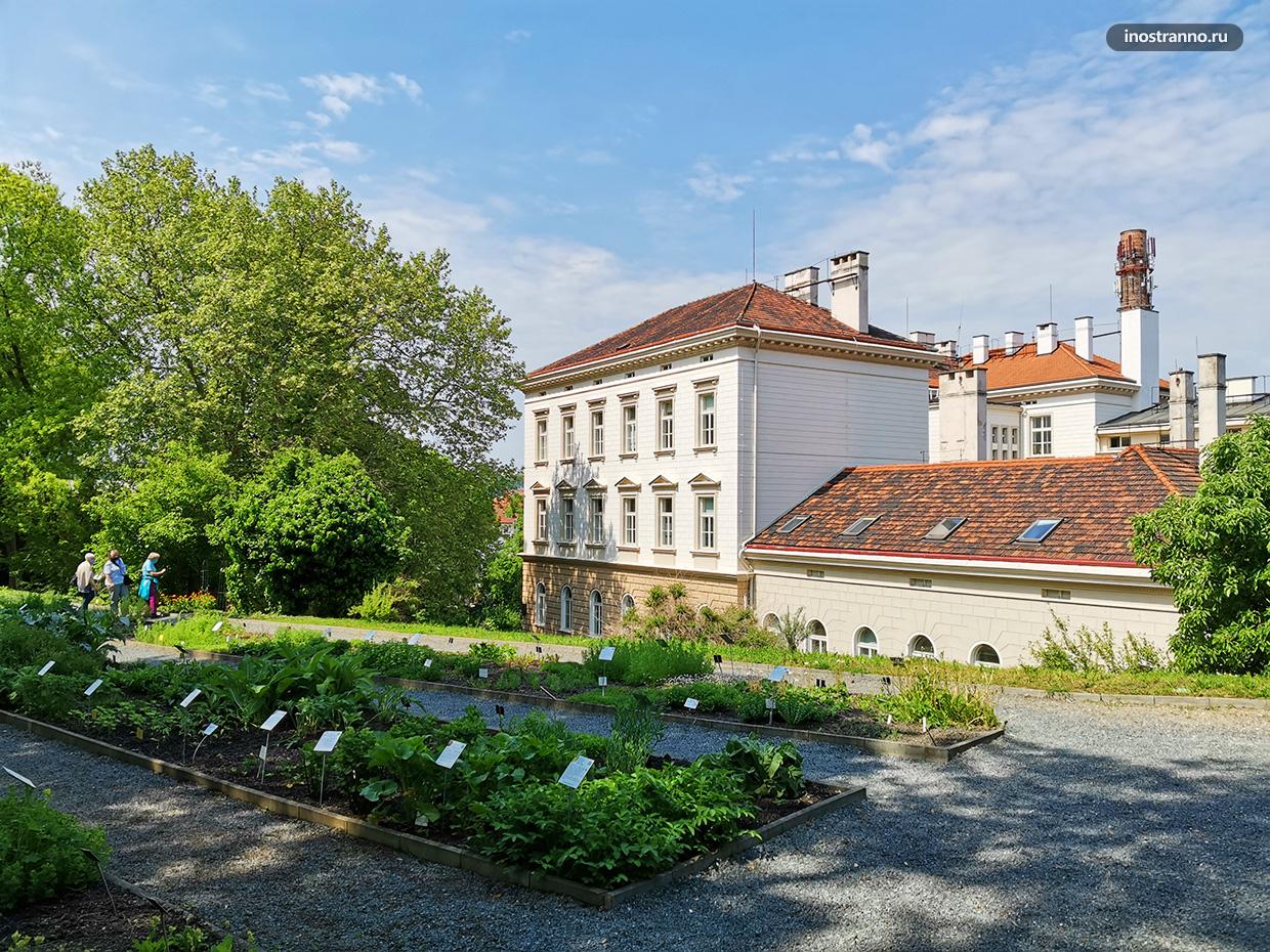 Корпус Карлова университета в Праге