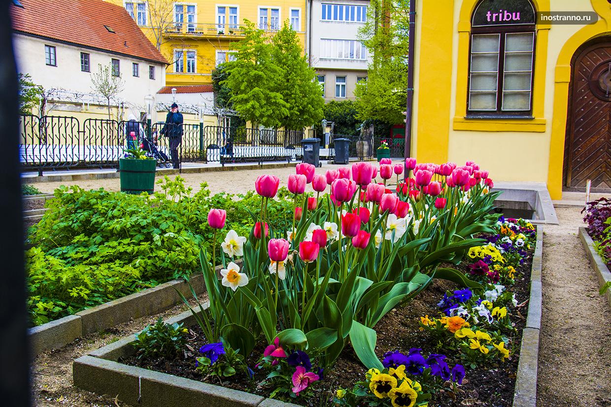 Яркая весна в Праге