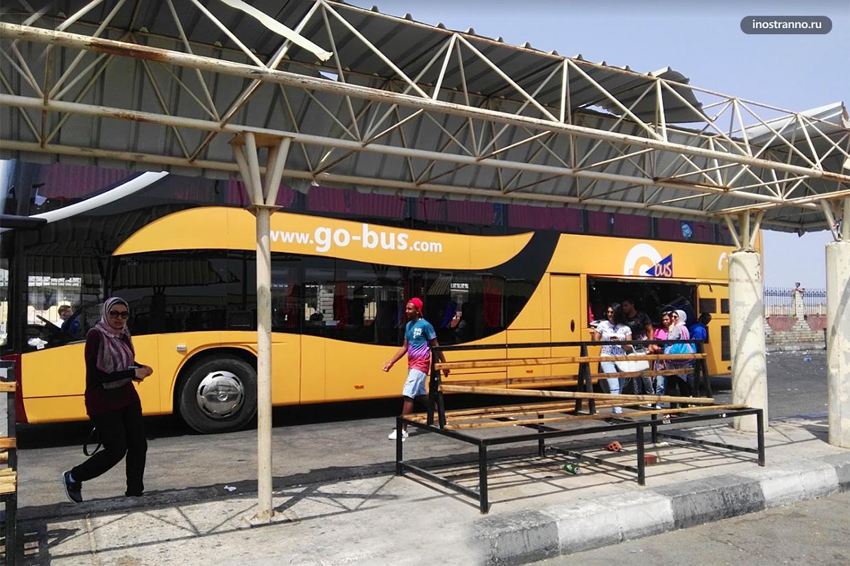 Междугородние автобусы и автовокзал в Шарм-эль-Шейхе