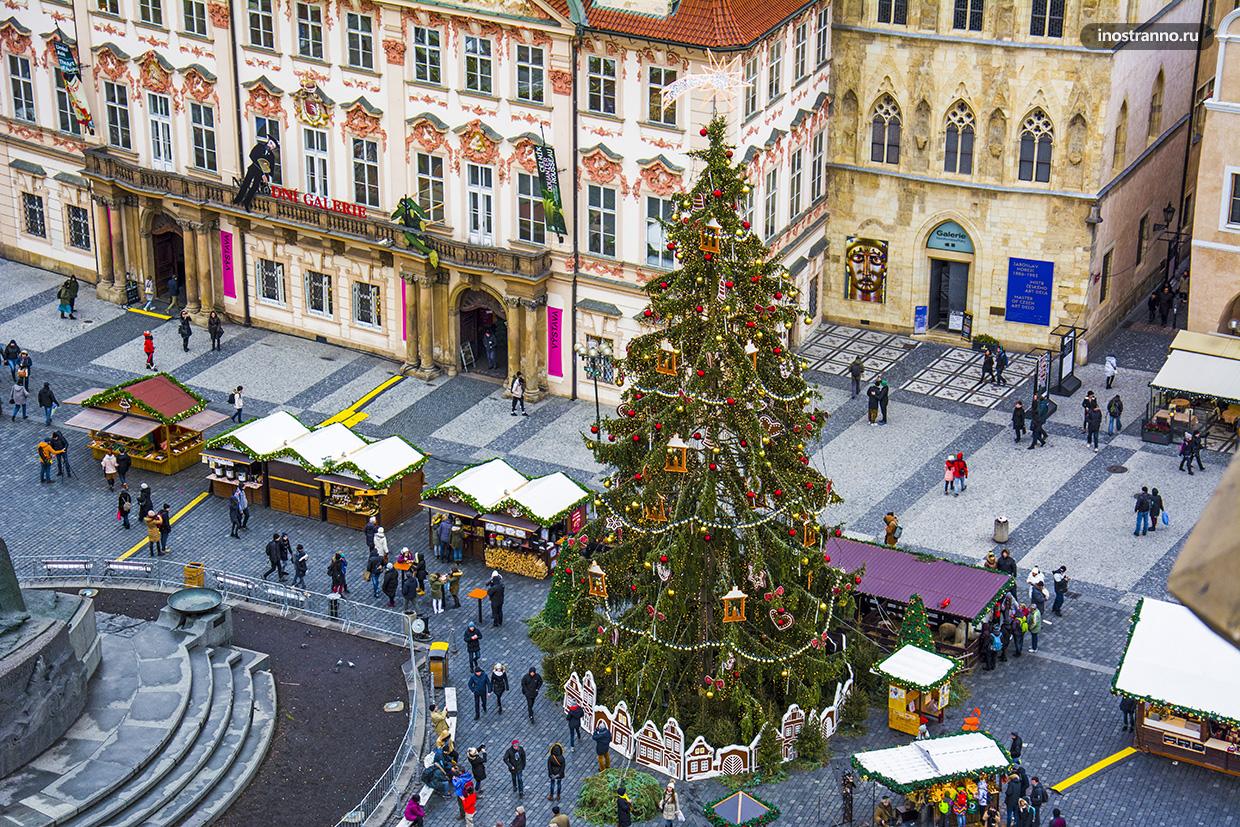  Рождественская новогодняя ёлка в Праге со смотровой