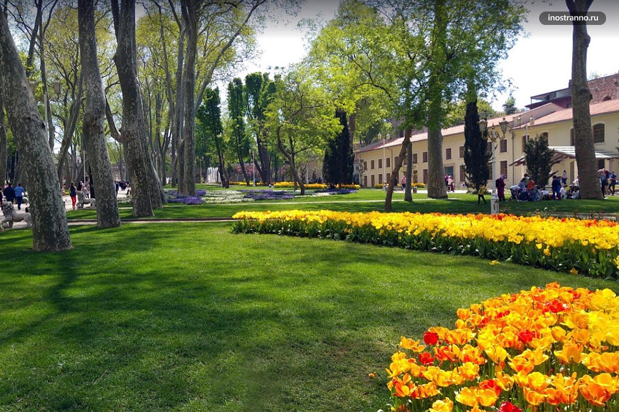 Гюльхане парк в центре Стамбула с тюльпанами