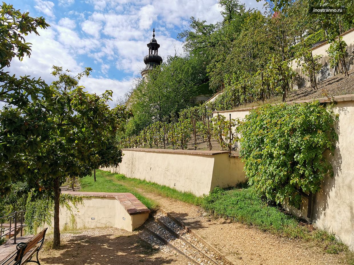 Виноградники в Чехии