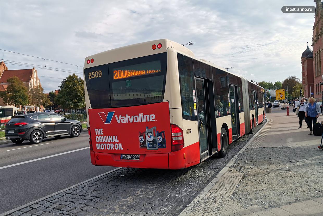 Автобусы Гданьска