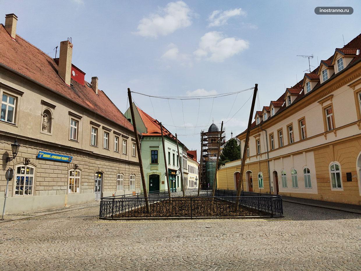 Выращивание хмеля в Чехии