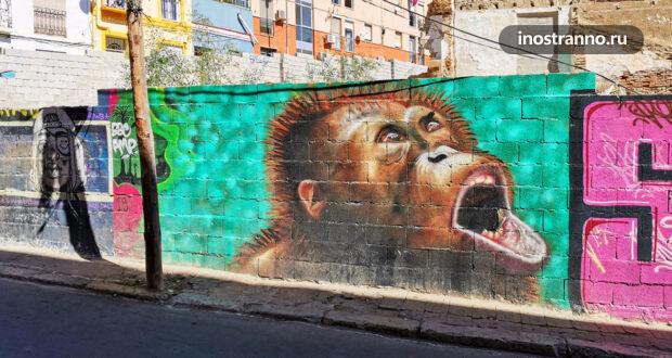 Граффити и уличное искусство Малаги