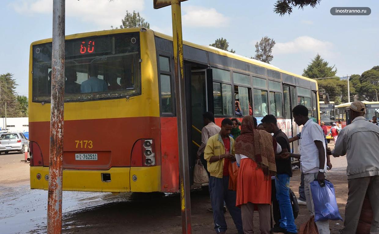 Городской автобус Аддис-Абебы