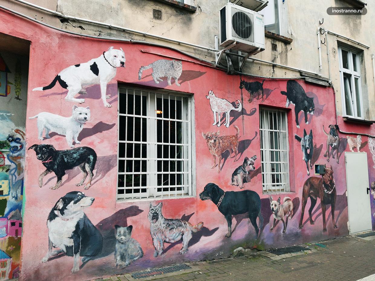 Граффити породы собак