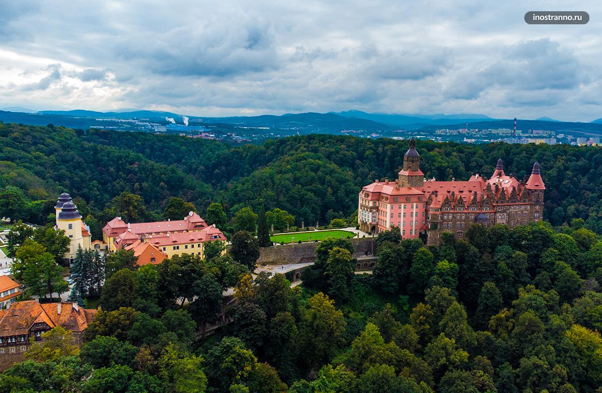 Фото европейского замка в лесу с дрона