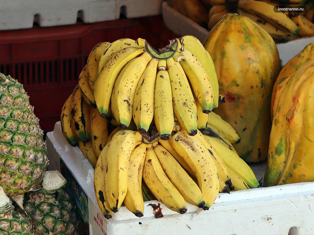 Вкусные тропические бананы фото