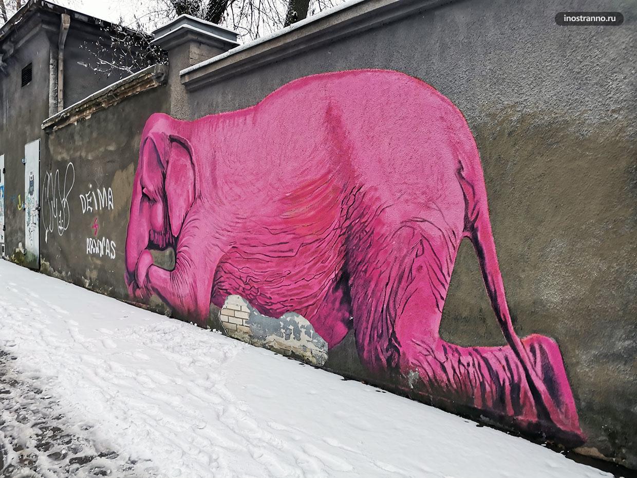 Граффити розовый слон