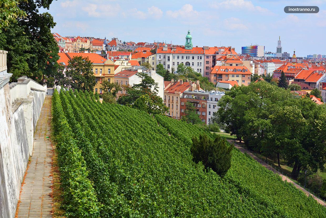 Где выпить вина в Праге